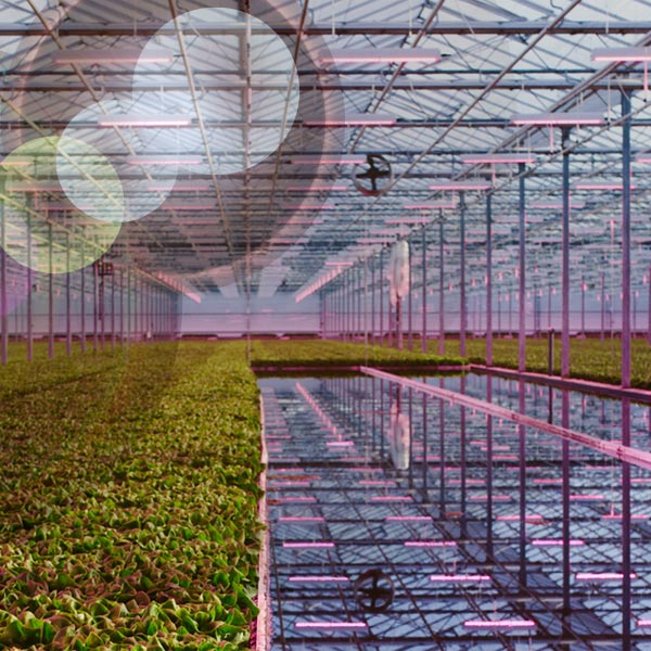 Horti- and agriculture