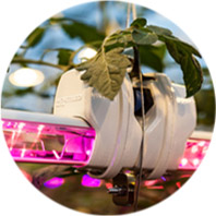 Horti- and agriculture