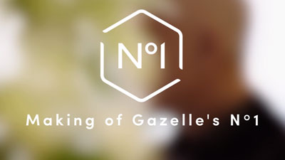 The Making of... Gazelle, EBOF: Electric Bike Of the Future
