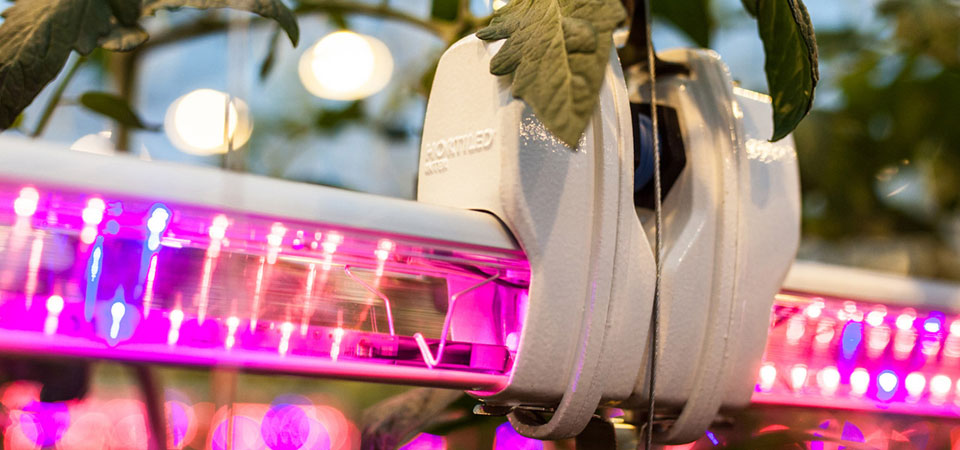 Experts in Horticulture